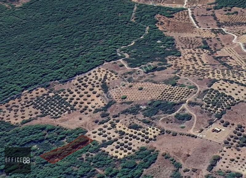 Urla Barbaros Köyü'nde Satılık Tarla - Görsel 3