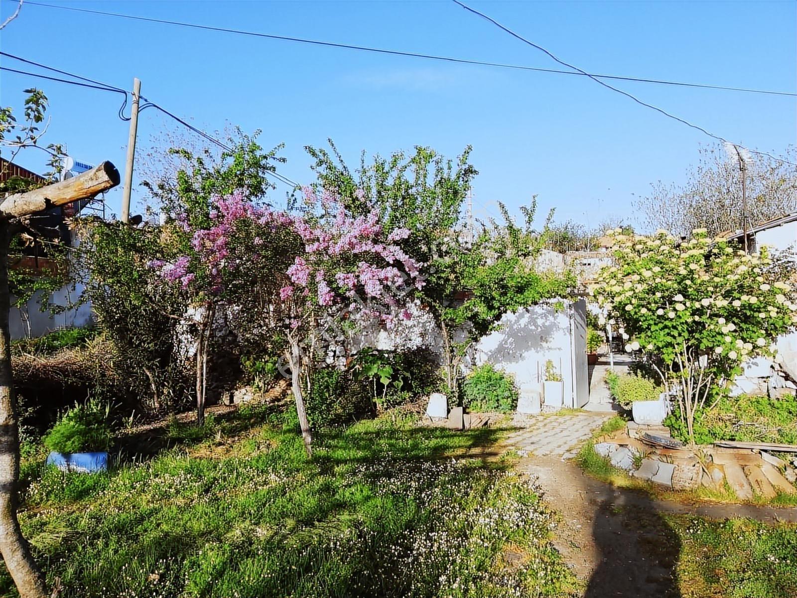 Kuşadası Yeniköy De Müştemilatı Olan Köy Evi - Görsel 2