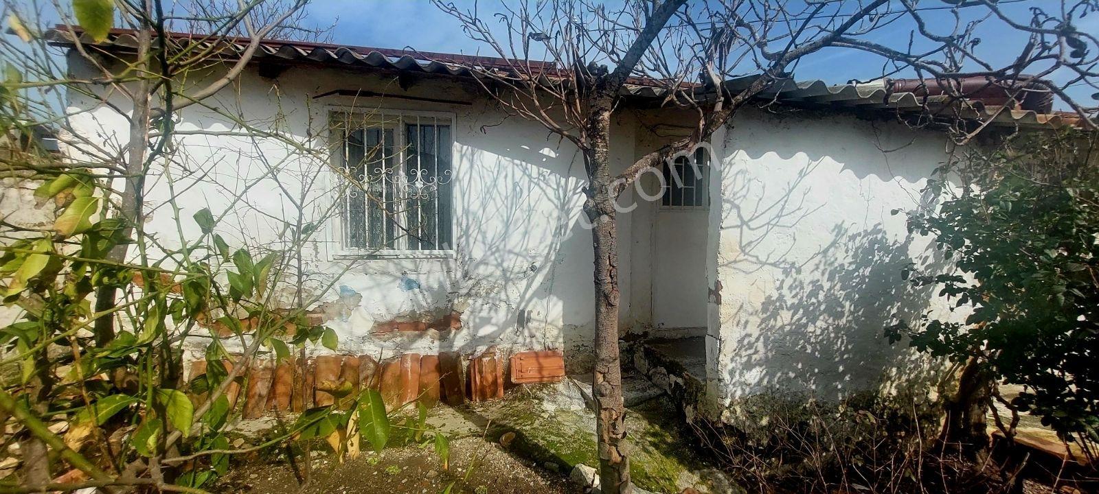Kuşadası Yeniköy De Müştemilatı Olan Köy Evi - Görsel 6