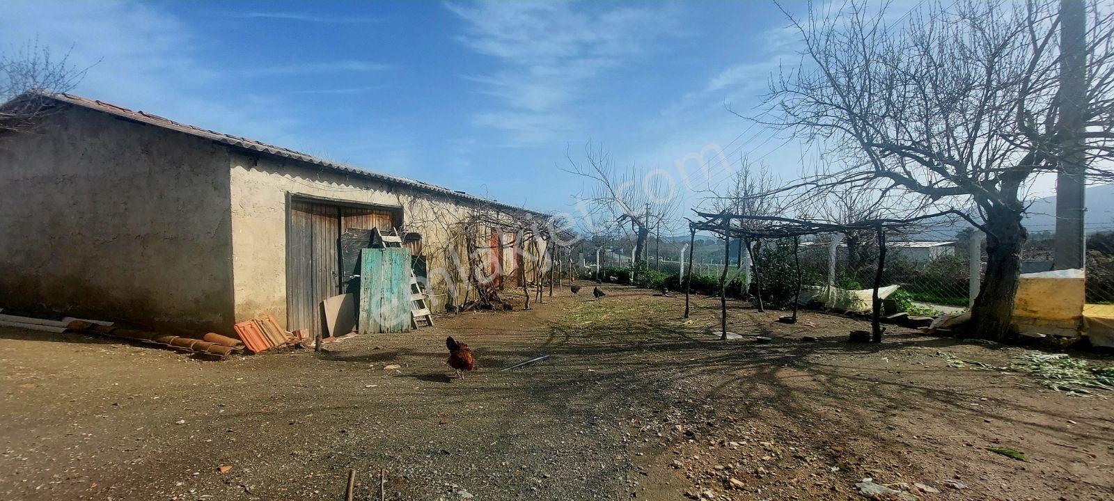 Kuşadası Yeniköy De Müştemilatı Olan Köy Evi - Görsel 9