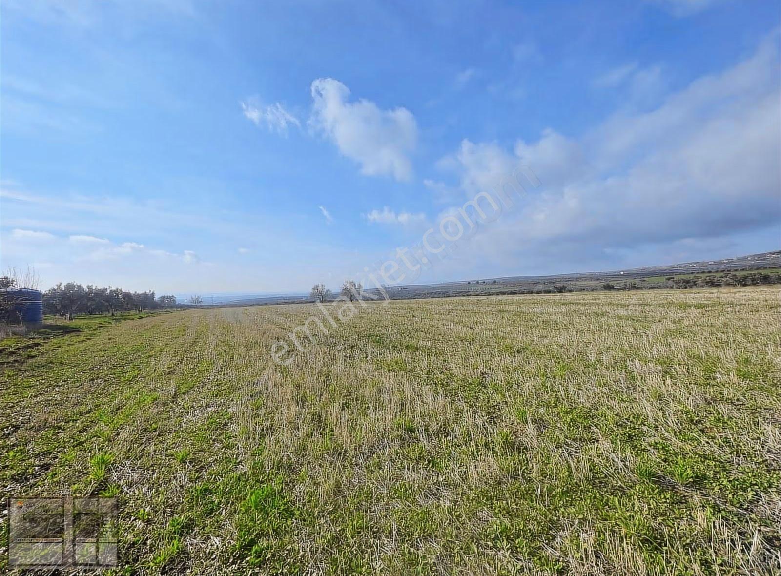 Eriklice'de Deniz Manzaralı, 8.831 M² Satılık Arsa - Görsel 10