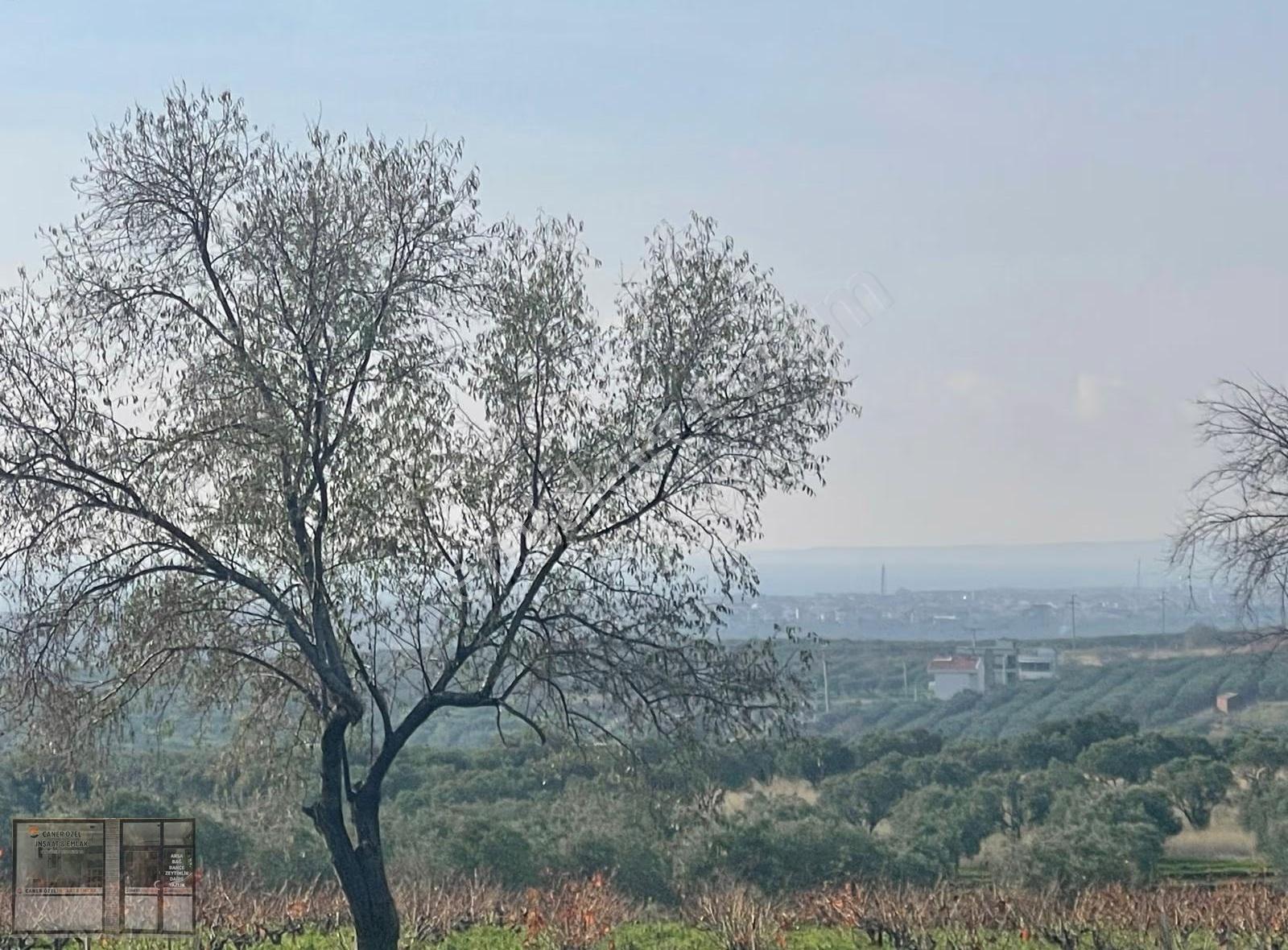 Eriklice'de Deniz Manzaralı, 8.831 M² Satılık Arsa - Görsel 3