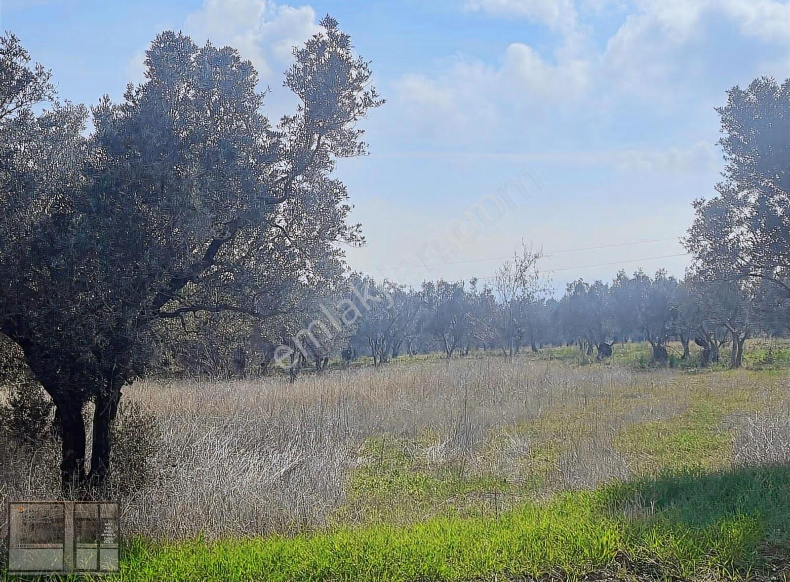 Eriklice'de Deniz Manzaralı, 8.831 M² Satılık Arsa - Görsel 17