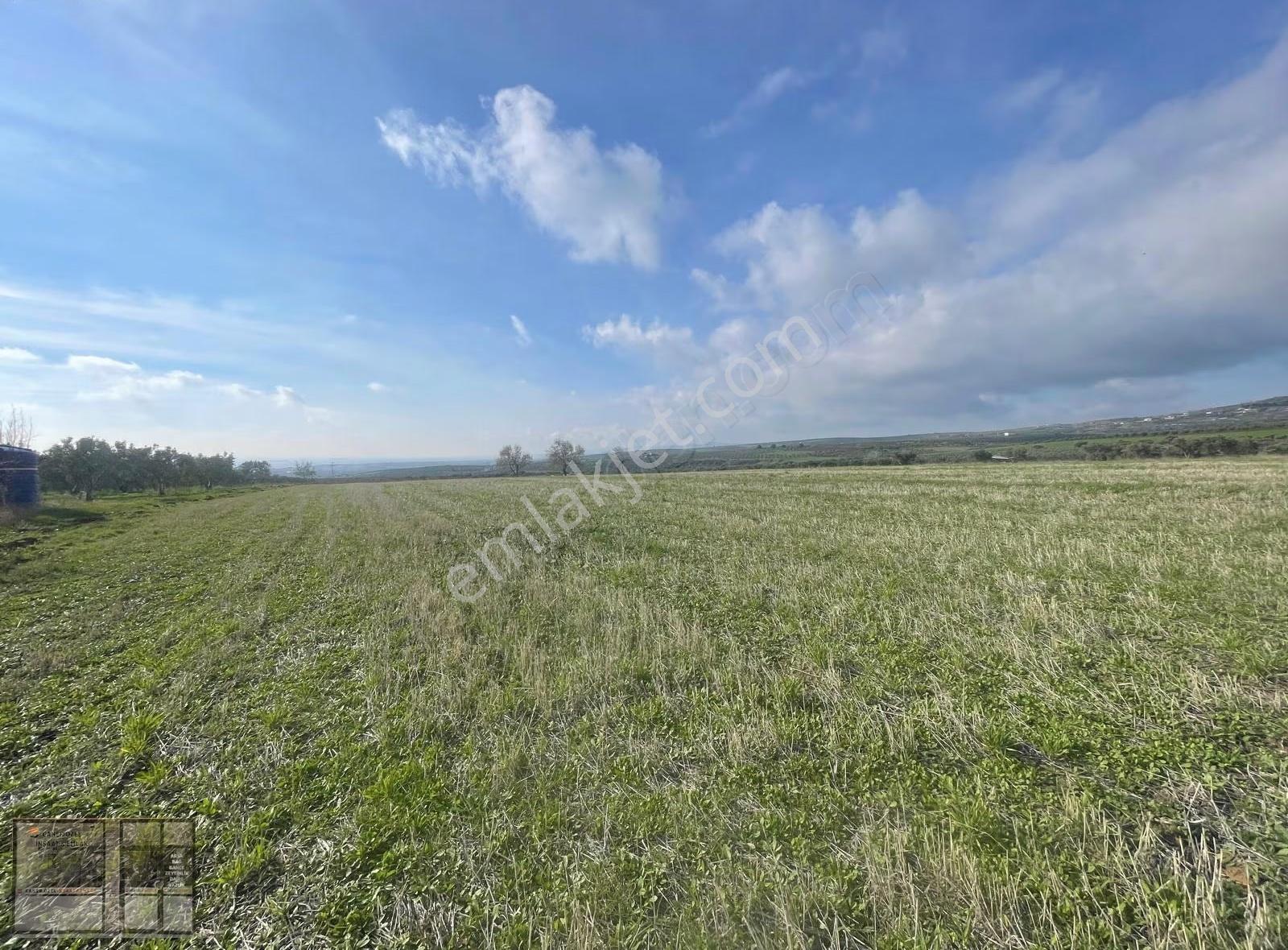 Eriklice'de Deniz Manzaralı, 8.831 M² Satılık Arsa - Görsel 7