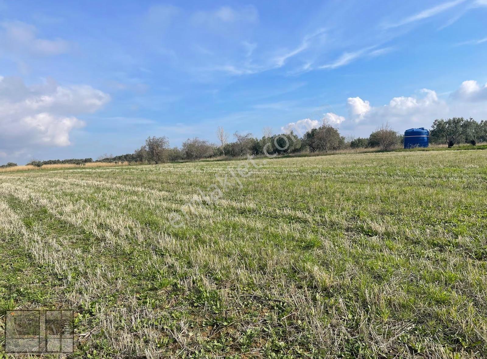 Eriklice'de Deniz Manzaralı, 8.831 M² Satılık Arsa - Görsel 5