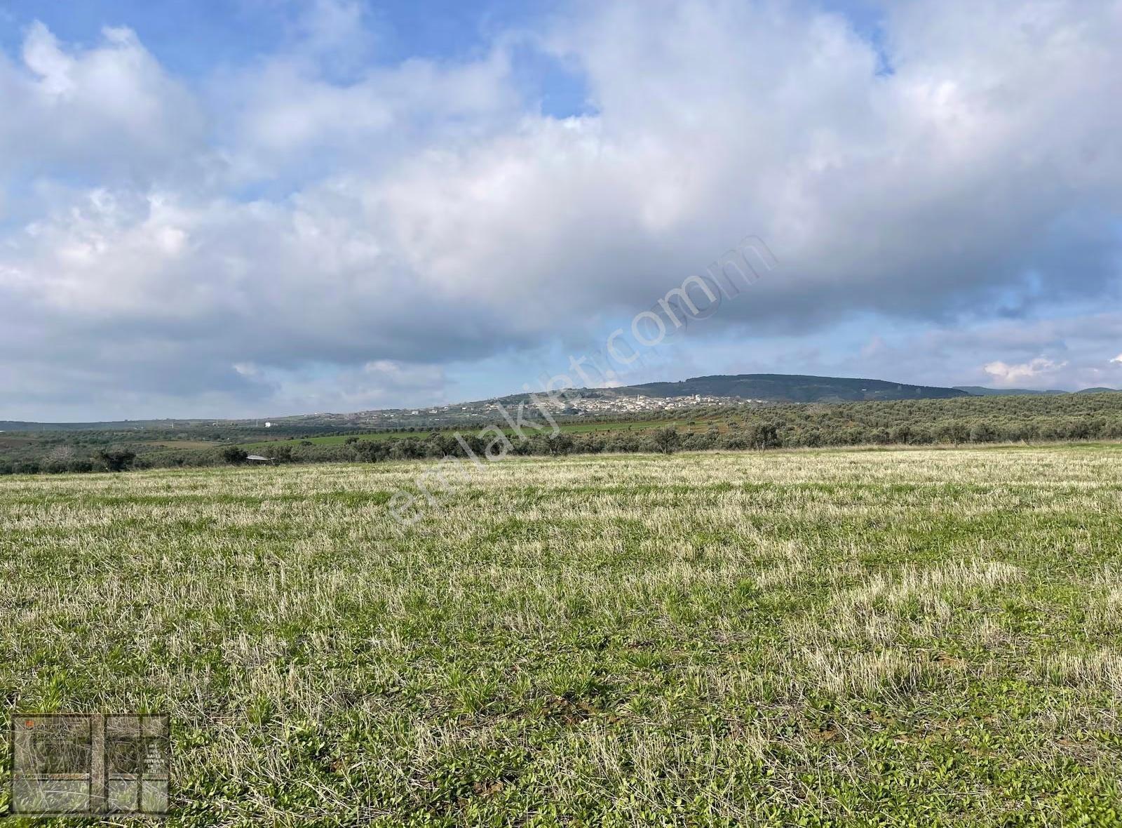 Eriklice'de Deniz Manzaralı, 8.831 M² Satılık Arsa - Görsel 16