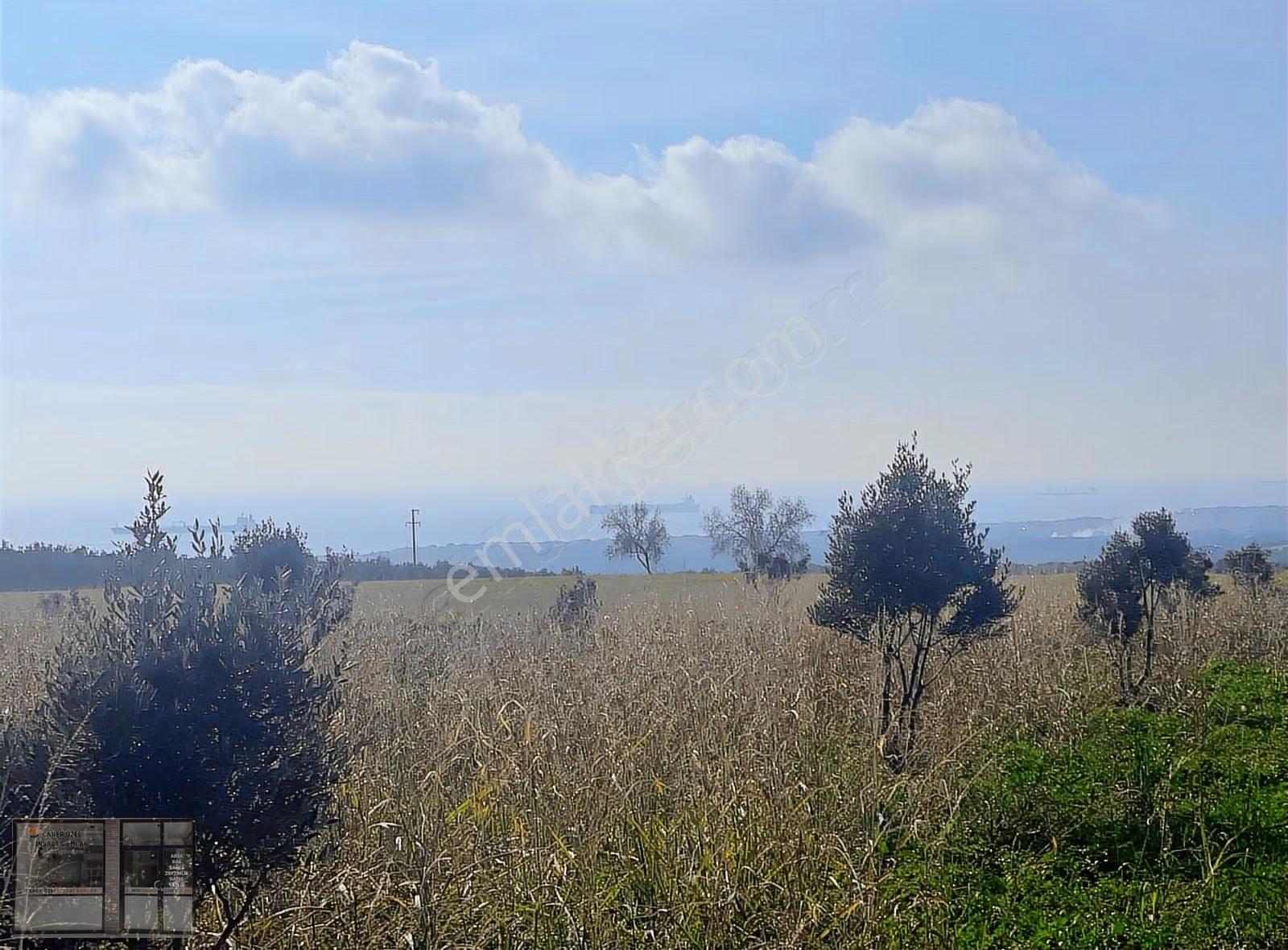 Eriklice'de Deniz Manzaralı, 8.831 M² Satılık Arsa - Görsel 14