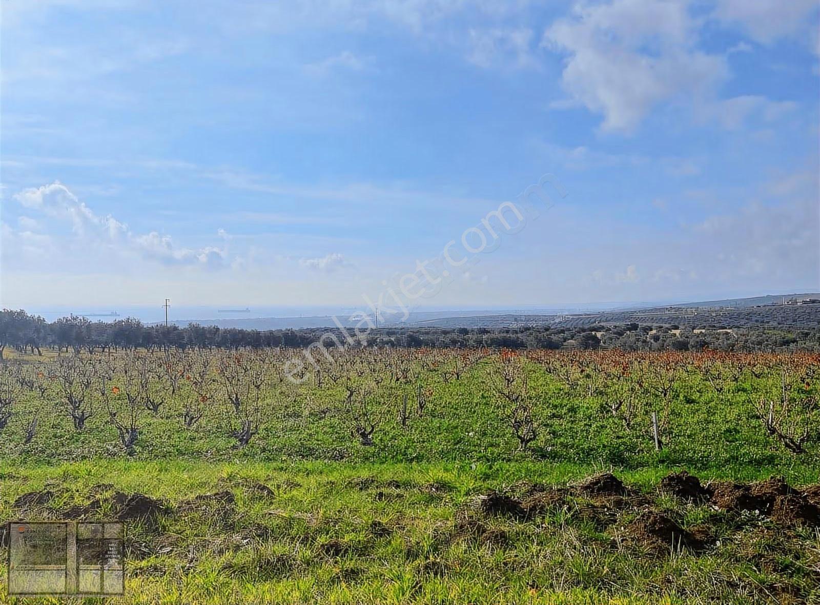 Eriklice'de Deniz Manzaralı, 8.831 M² Satılık Arsa - Görsel 6