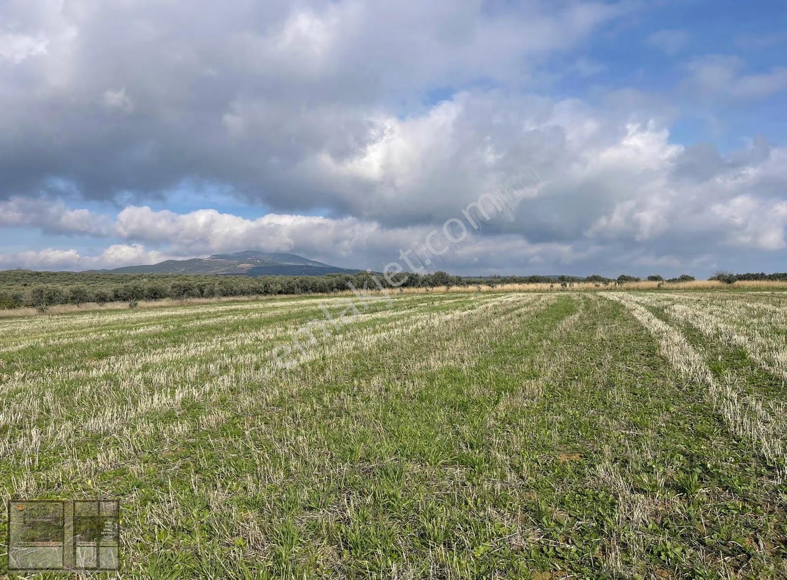 Eriklice'de Deniz Manzaralı, 8.831 M² Satılık Arsa - Görsel 19