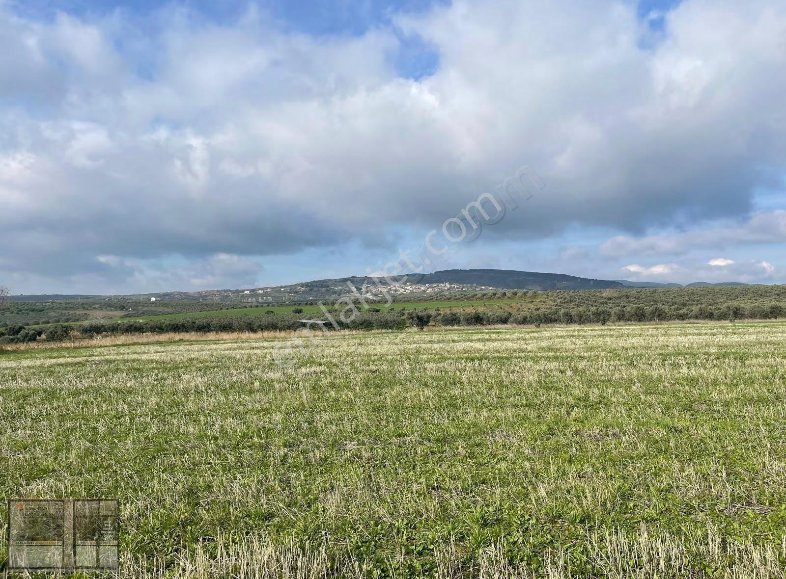 Eriklice'de Deniz Manzaralı, 8.831 M² Satılık Arsa - Görsel 9