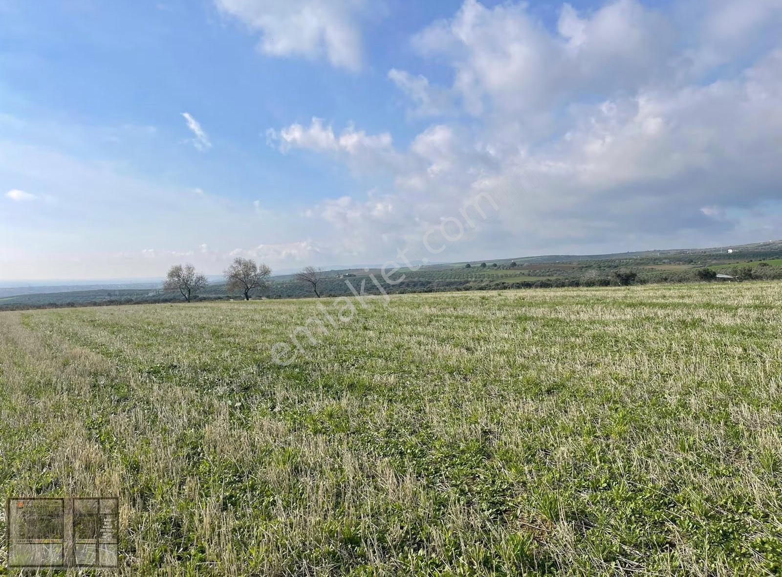 Eriklice'de Deniz Manzaralı, 8.831 M² Satılık Arsa - Görsel 4
