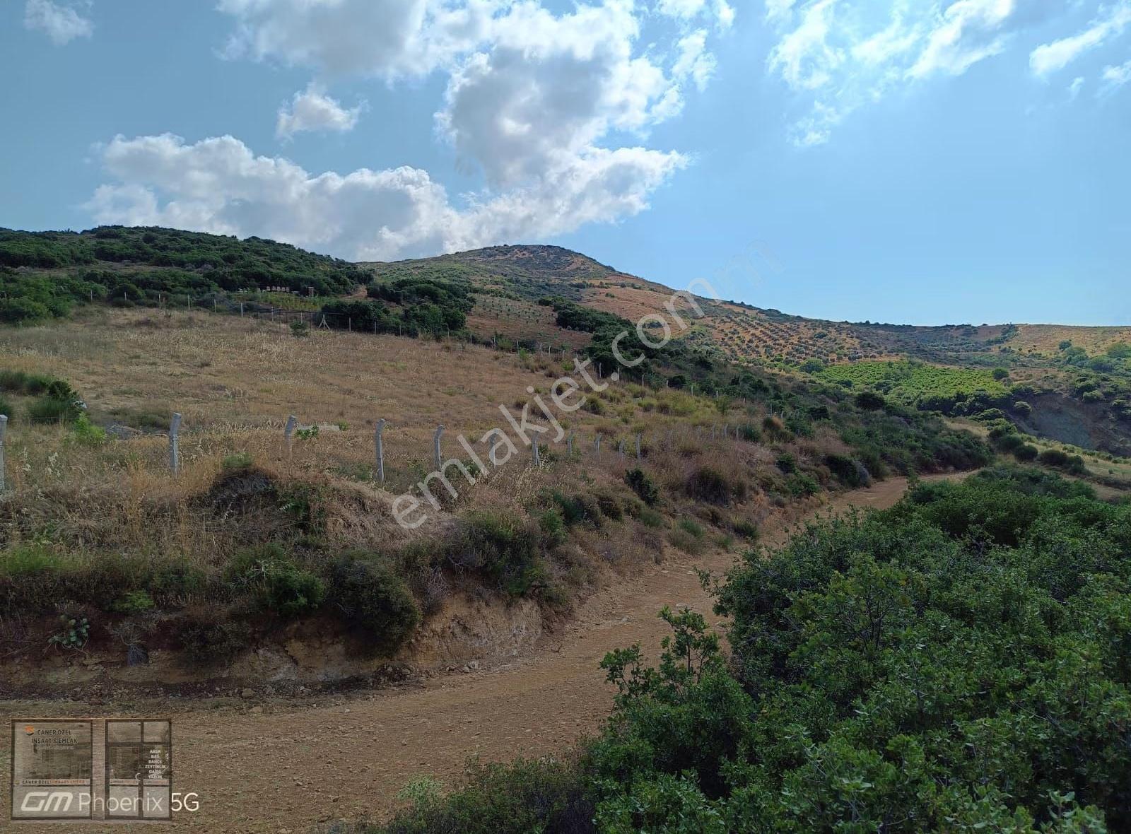 Şarköy Tepeköy'de Deniz Manzaralı, Yola Cephe 3050m² Bahçe - Görsel 4