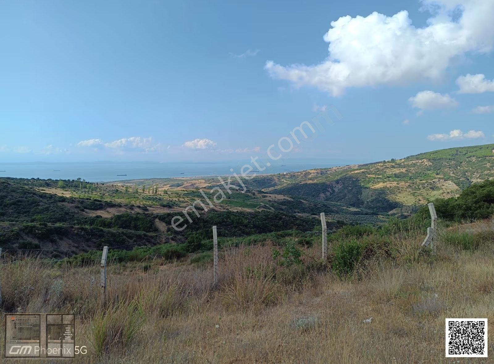 Şarköy Tepeköy'de Deniz Manzaralı, Yola Cephe 3050m² Bahçe - Görsel 5