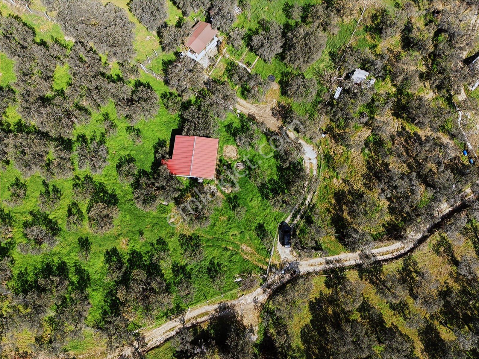 Dora Dan Satılık Edremitte Hayalinizdeki Doğal Yaşam Alanı - Görsel 23