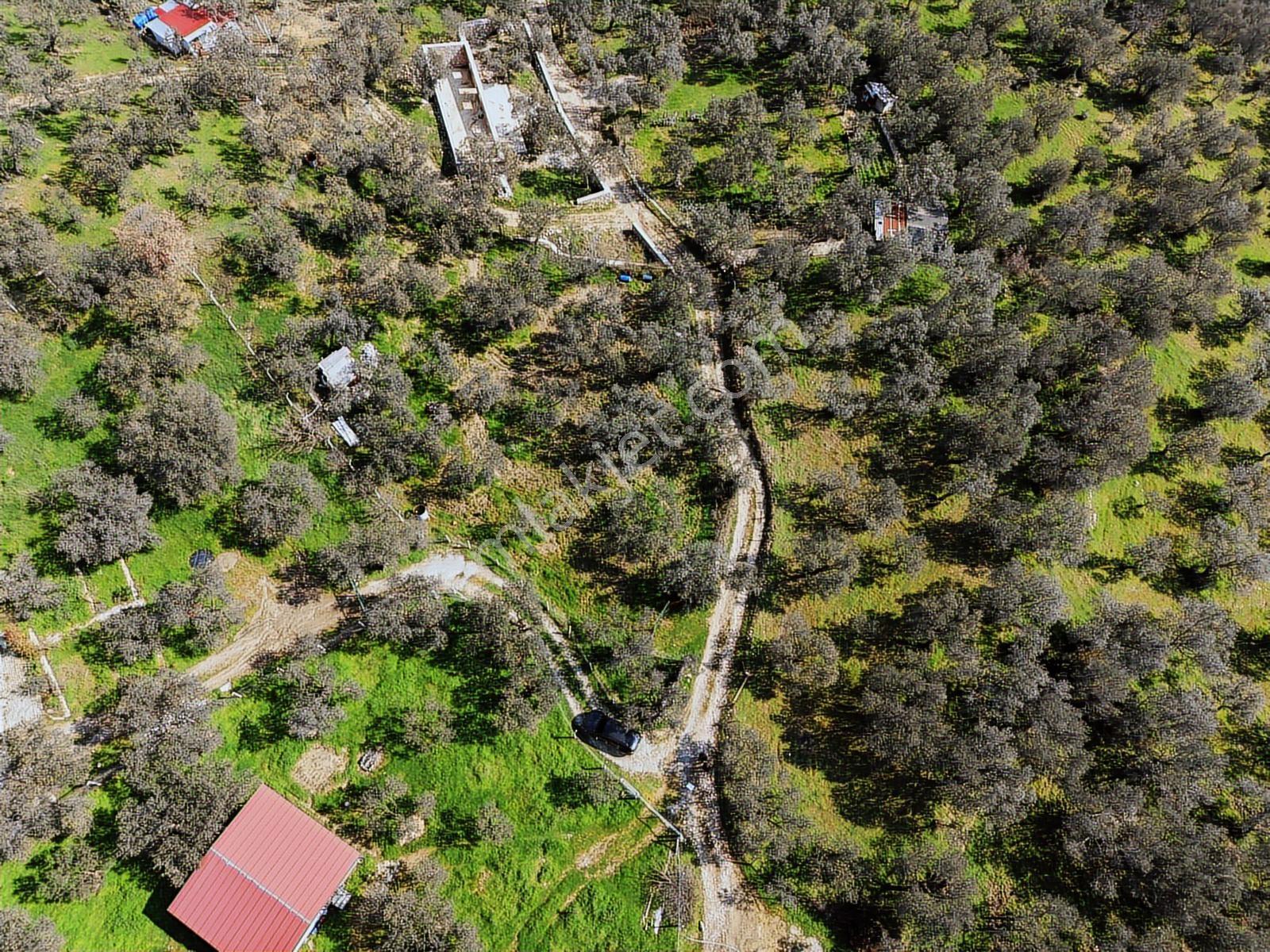 Dora Dan Satılık Edremitte Hayalinizdeki Doğal Yaşam Alanı - Görsel 13