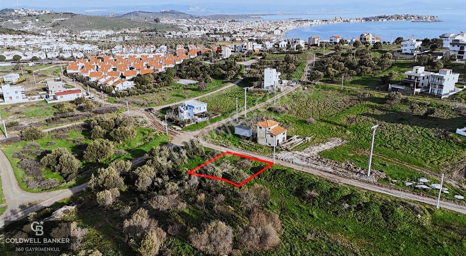 Dikili Çandarlıda Denize Yürüme Mesafesinde İmarlı Arsa - Görsel 19