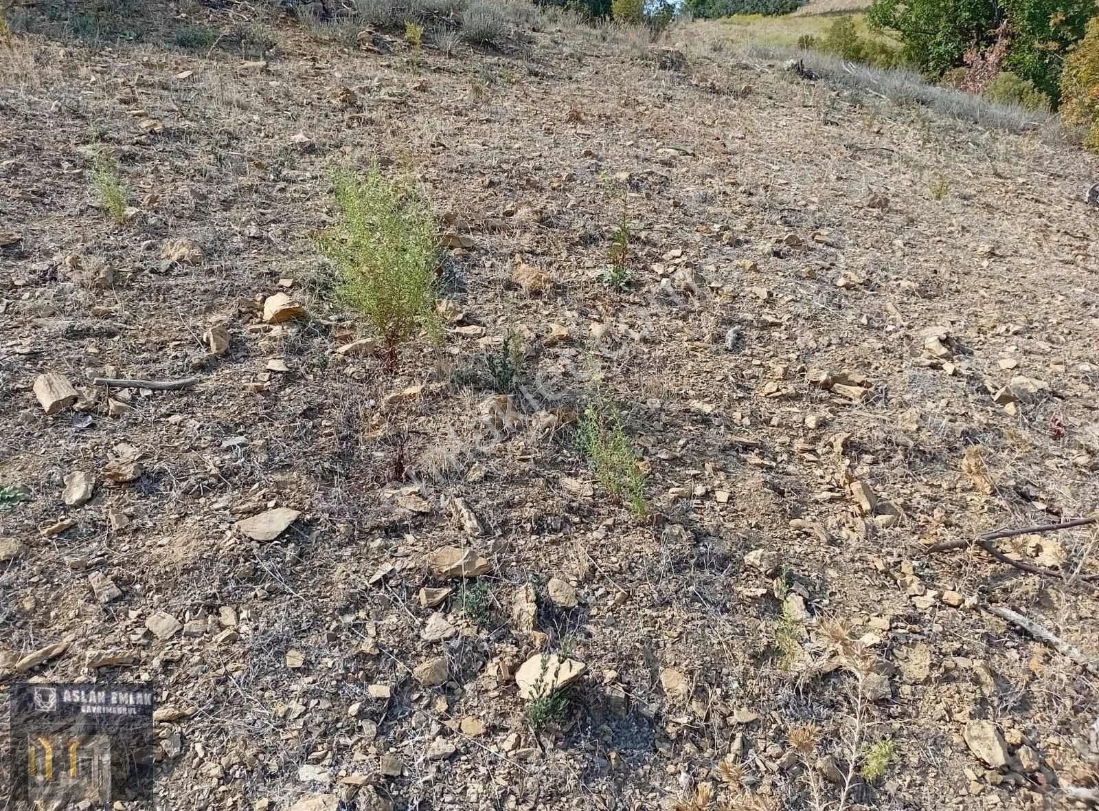 Aslan Emlak'tan Uygun Fiyatlı 14 Dönüm Tarla - Görsel 4