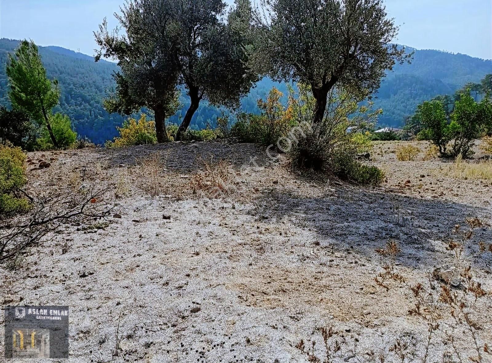 Aslan Emlak'tan Uygun Fiyatlı 14 Dönüm Tarla