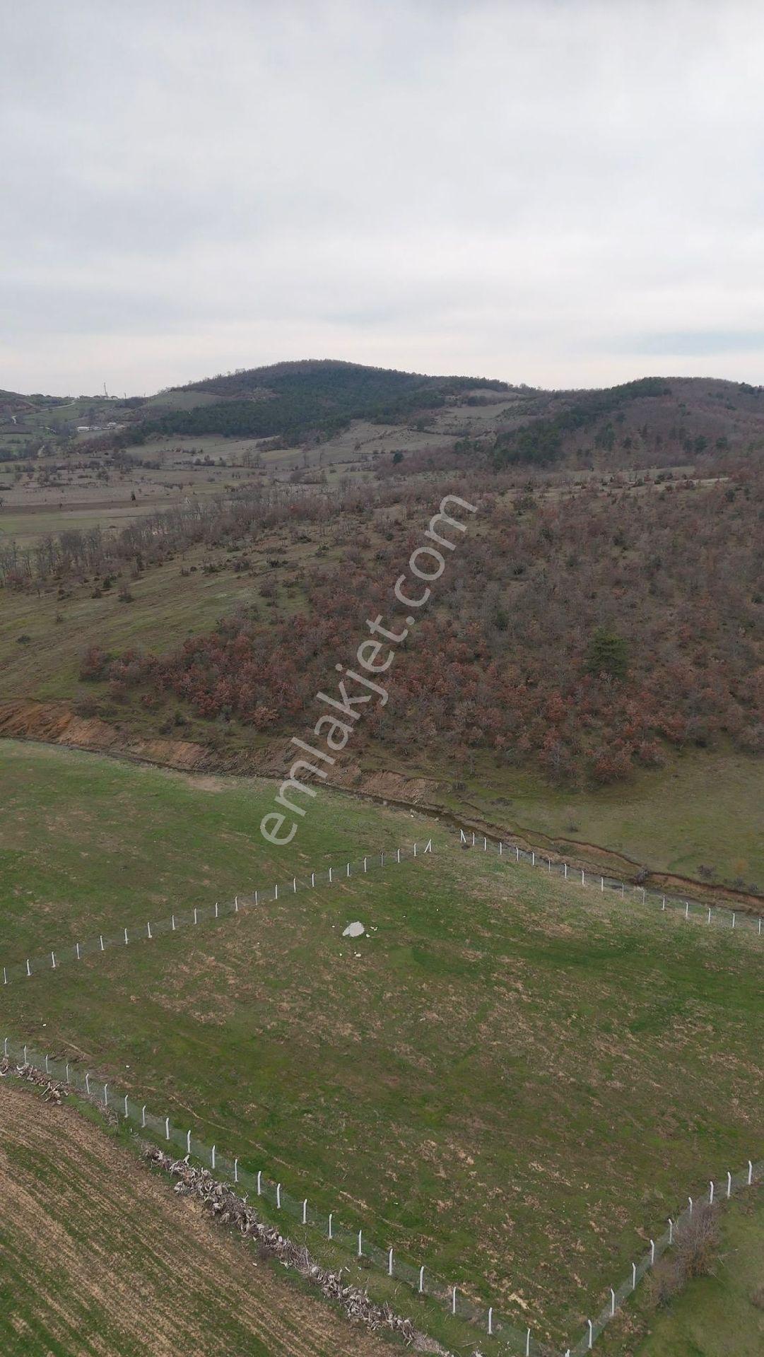Bilecik Osmaneli Hisarcık Satılık Tarla 4144 Mk Acilll Satılık - Görsel 11
