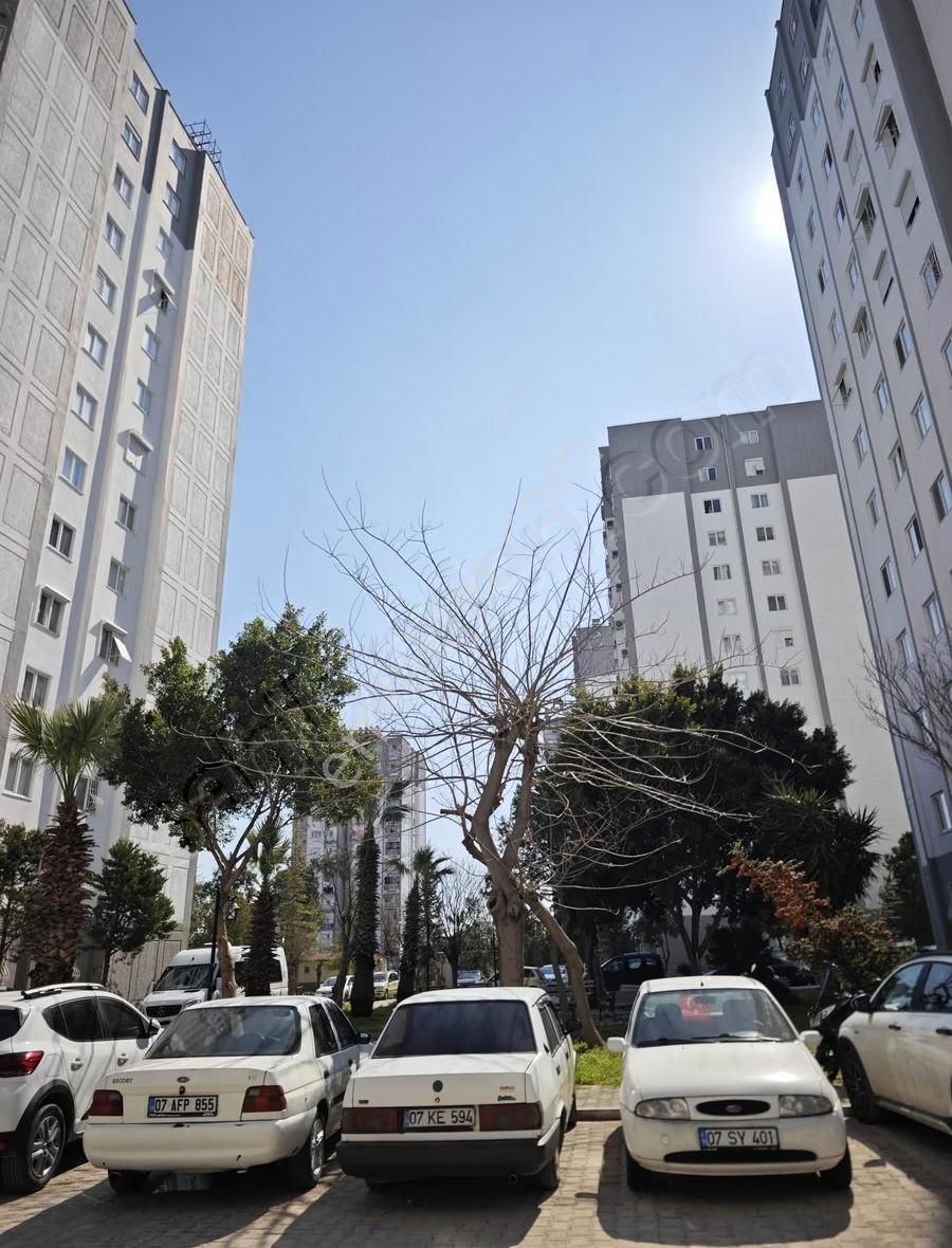 Kepez Sütçüler Toki Konutlarında Satılık Daire - Görsel 12