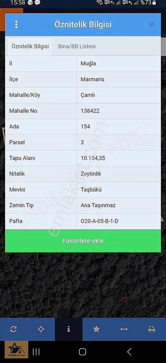 Muğla Marmaris'in Gözdesi Sedir Adasına Çok Yakın Zeytinlik