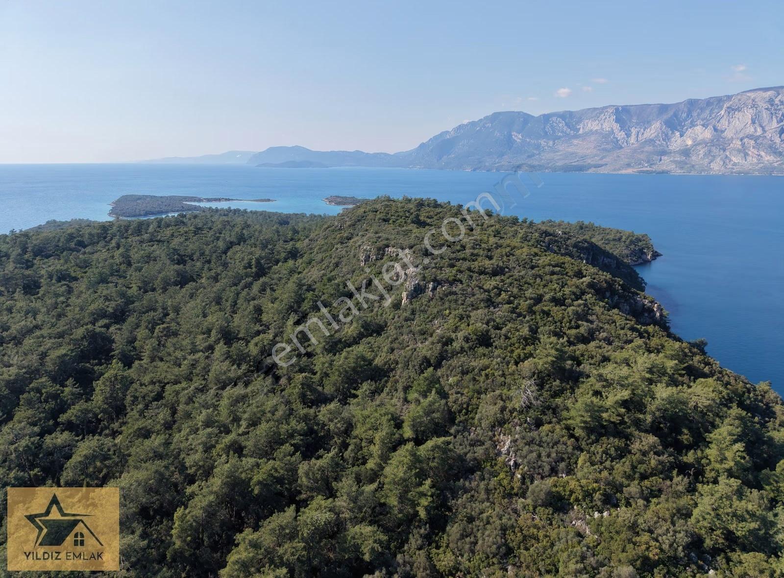 Muğla Marmaris'in Gözdesi Sedir Adasına Çok Yakın Zeytinlik - Görsel 10