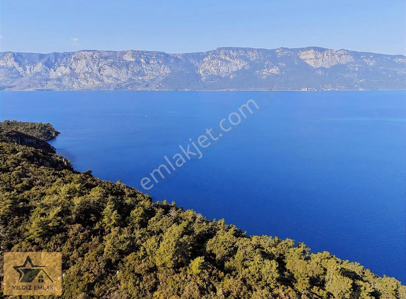 Muğla Marmaris'in Gözdesi Sedir Adasına Çok Yakın Zeytinlik - Görsel 11