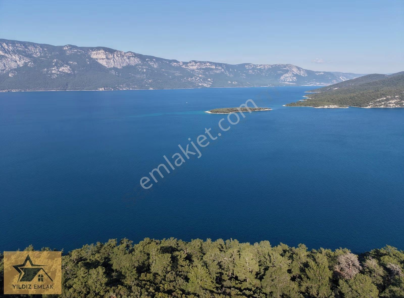 Muğla Marmaris'in Gözdesi Sedir Adasına Çok Yakın Zeytinlik - Görsel 2