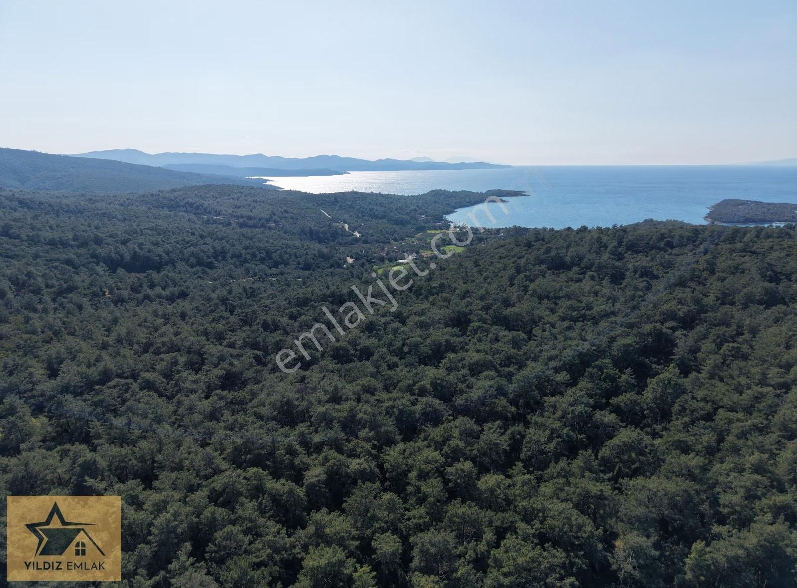 Muğla Marmaris'in Gözdesi Sedir Adasına Çok Yakın Zeytinlik - Görsel 7