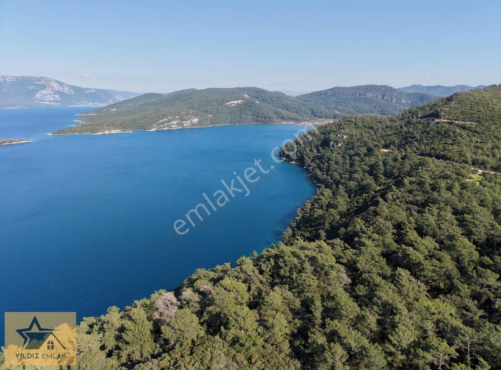 Muğla Marmaris'in Gözdesi Sedir Adasına Çok Yakın Zeytinlik - Görsel 9