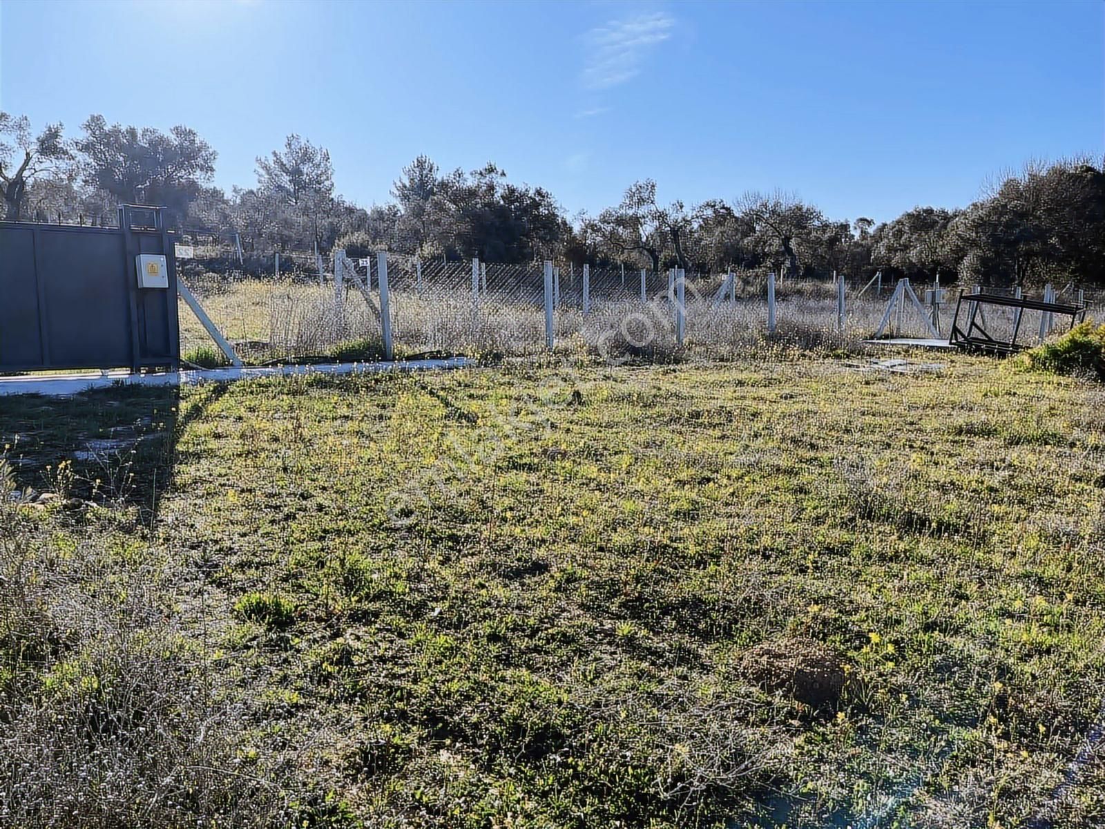Torbalı Ormanköy De Yolu Suyu Elektriği Olan 896 M2 Zeytinlik - Görsel 17