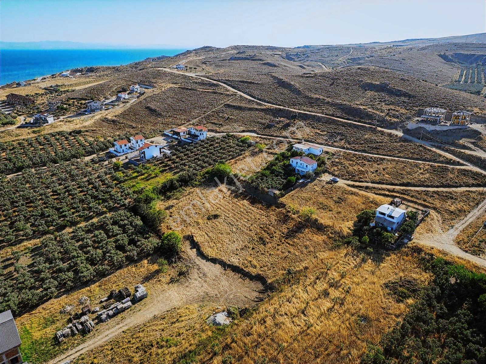 Avşa Adasının En Uygun Fiyatlı, Deniz Manzaralı İmarlı Arsası - Görsel 3