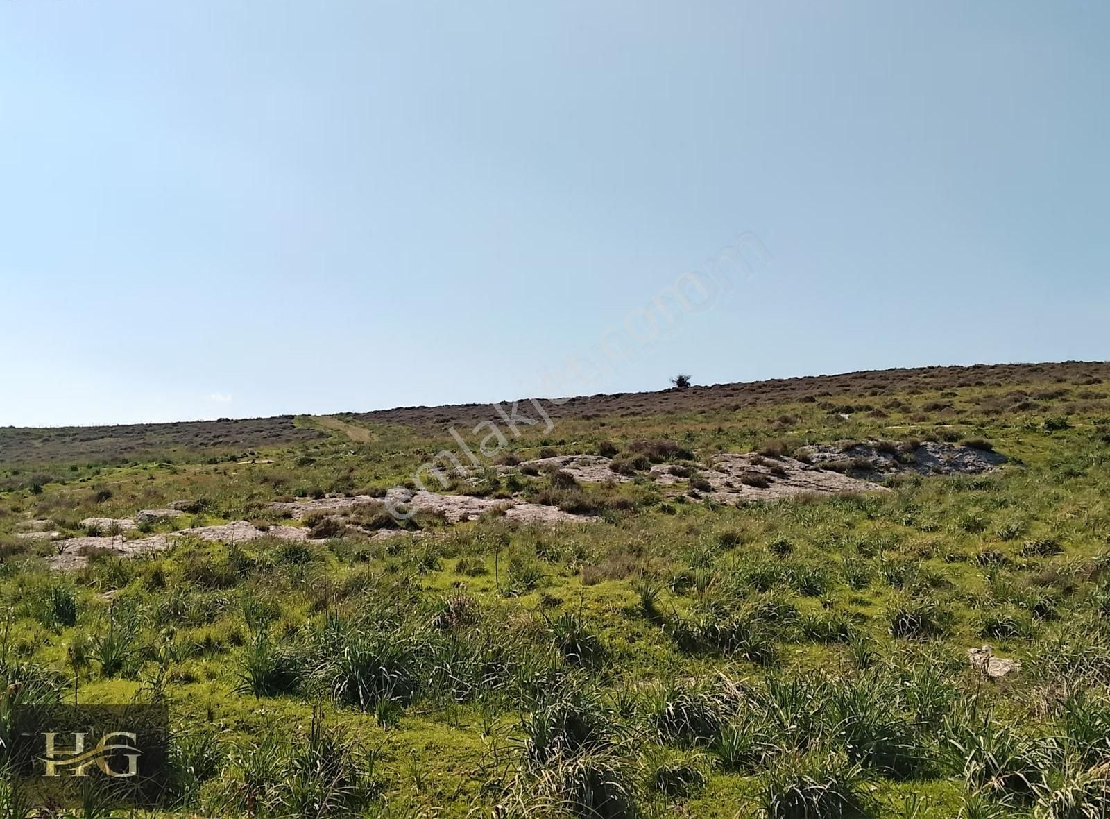 Fırsat Kupon Arazi Yatırımlık İmara Sınır - Görsel 4