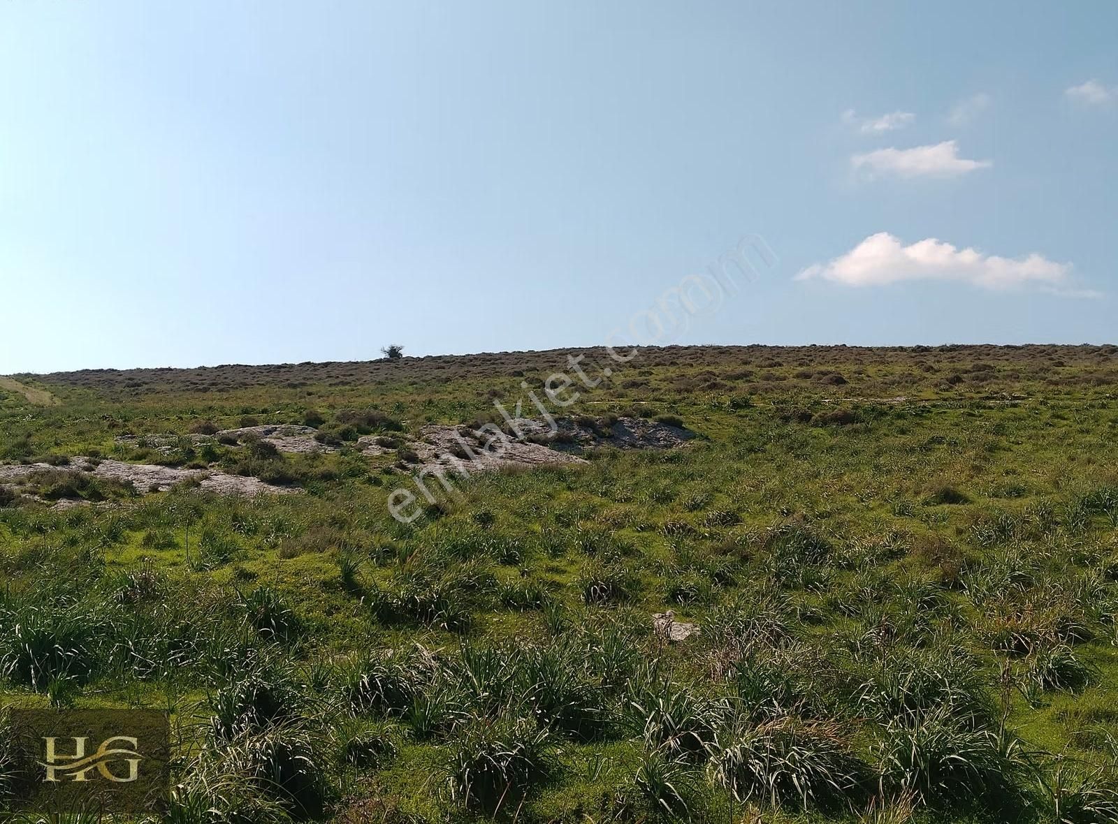 Fırsat Kupon Arazi Yatırımlık İmara Sınır