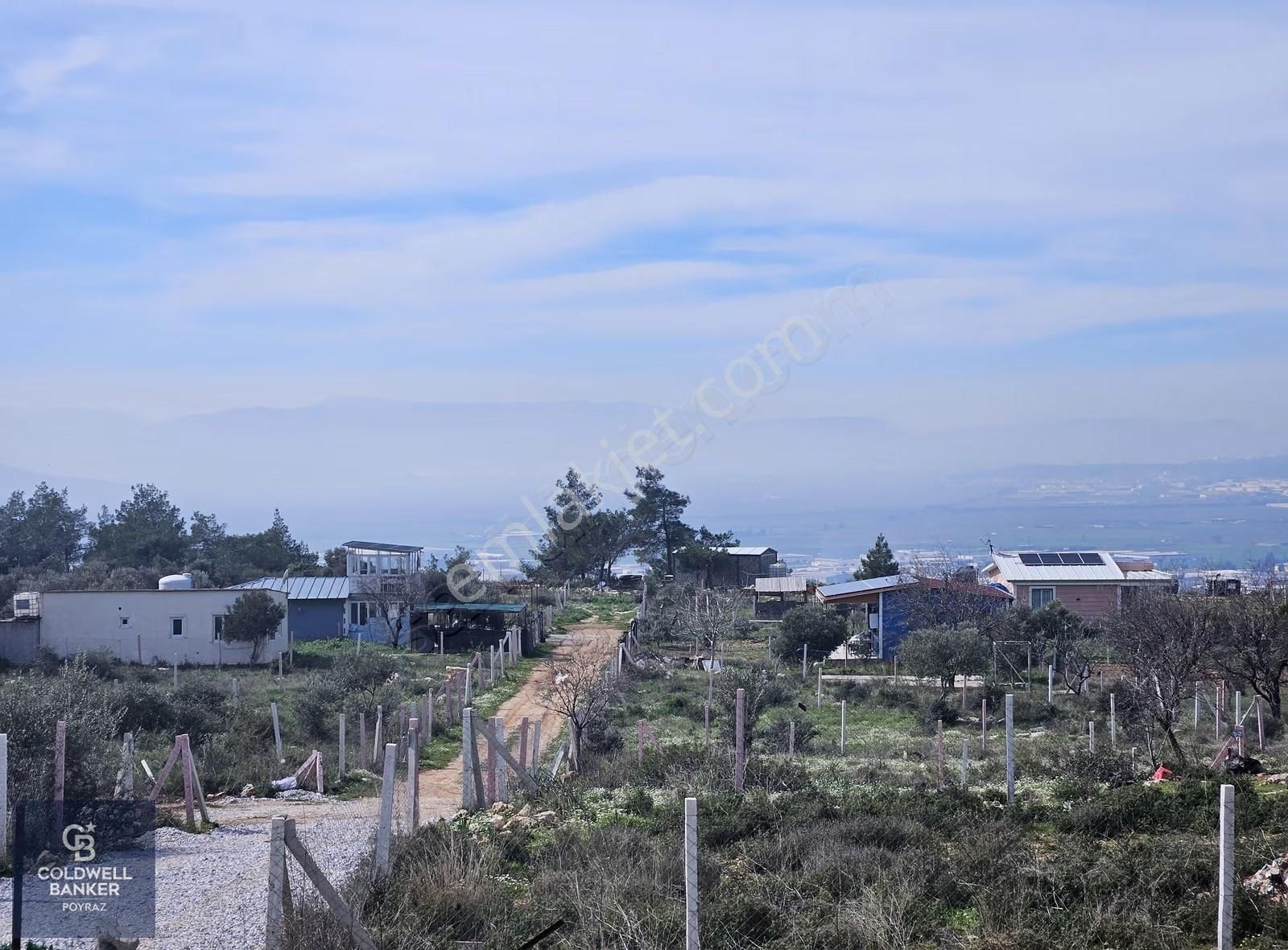 Torbalı Çapakta Satılık Tek Tapu 24.480 M2 Zeytinlik - Görsel 26