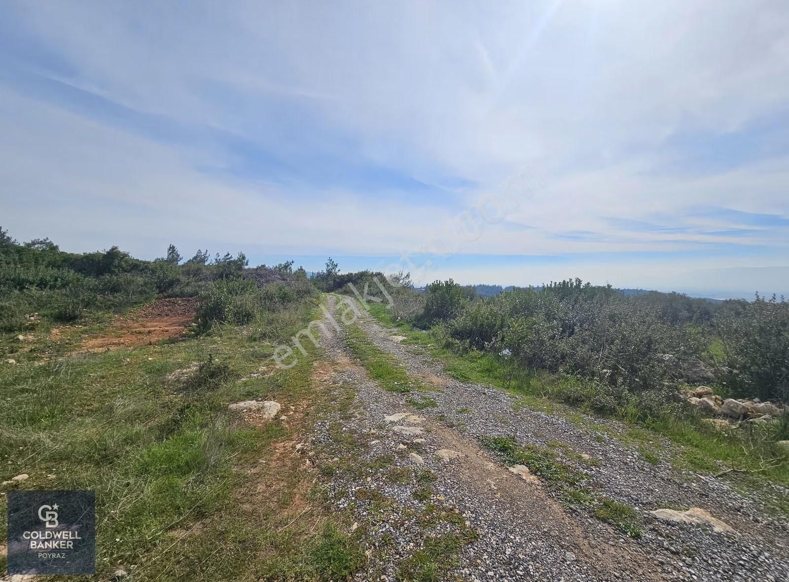 Torbalı Çapakta Satılık Tek Tapu 24.480 M2 Zeytinlik - Görsel 32