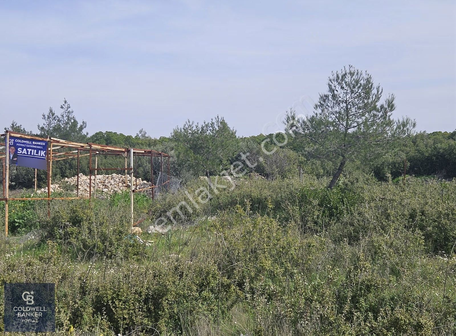 Torbalı Çapakta Satılık Tek Tapu 24.480 M2 Zeytinlik - Görsel 6