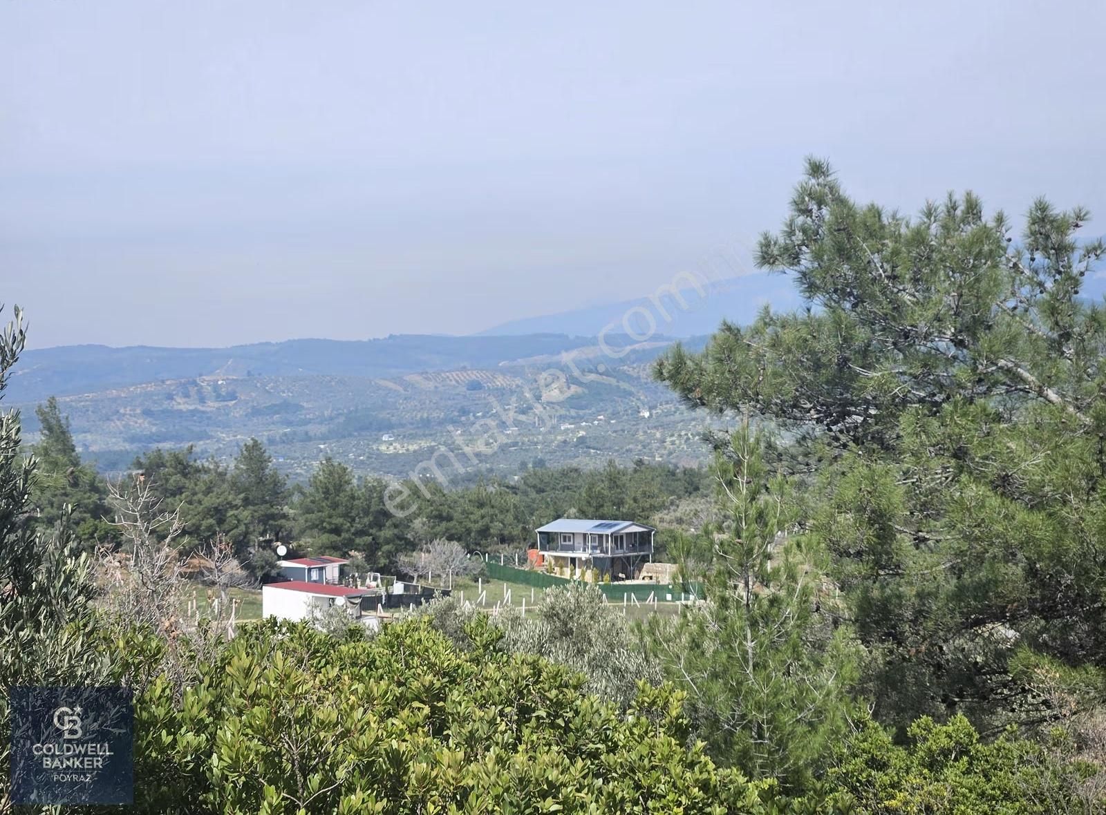 Torbalı Çapakta Satılık Tek Tapu 24.480 M2 Zeytinlik - Görsel 25