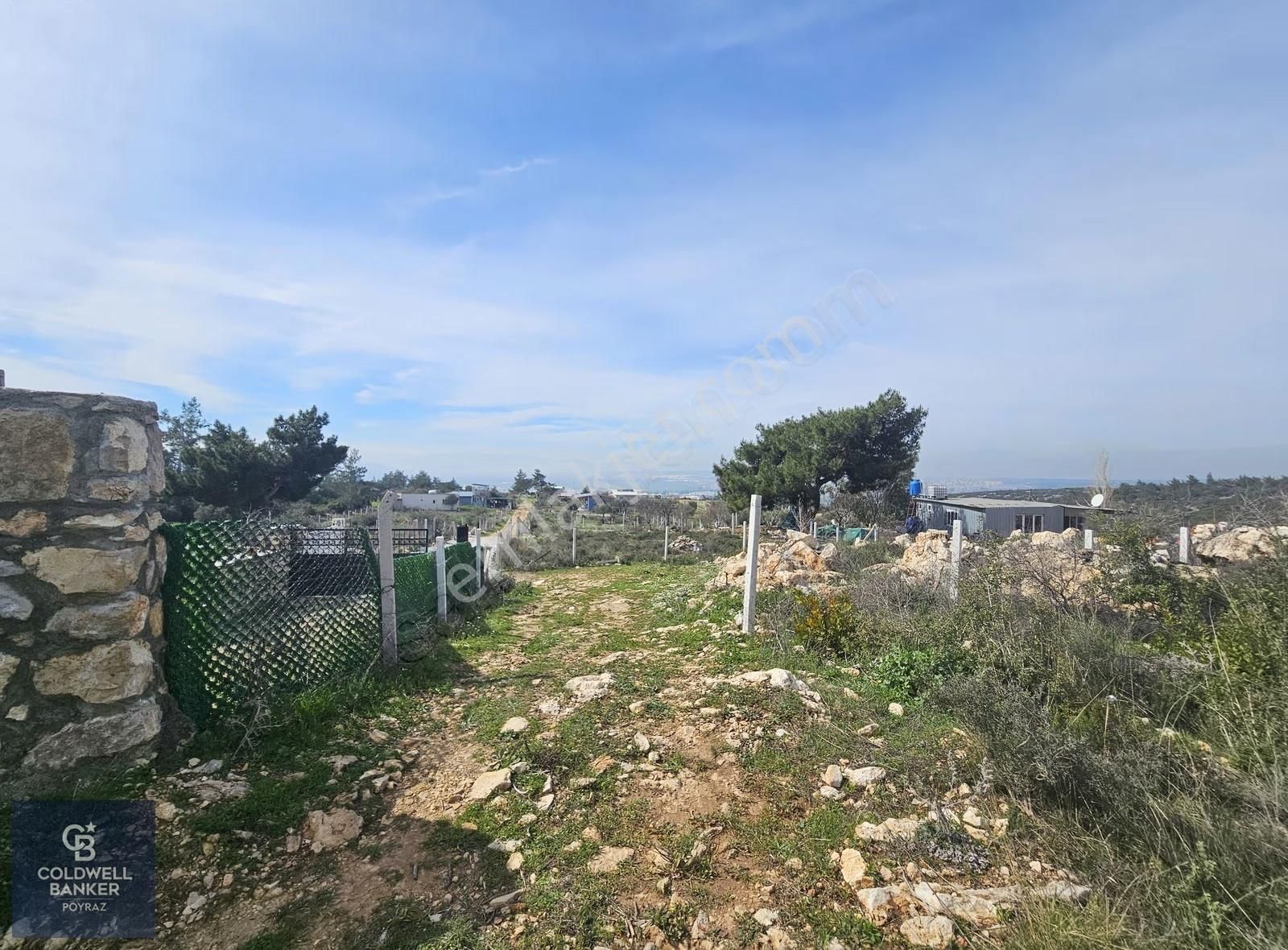 Torbalı Çapakta Satılık Tek Tapu 24.480 M2 Zeytinlik - Görsel 3