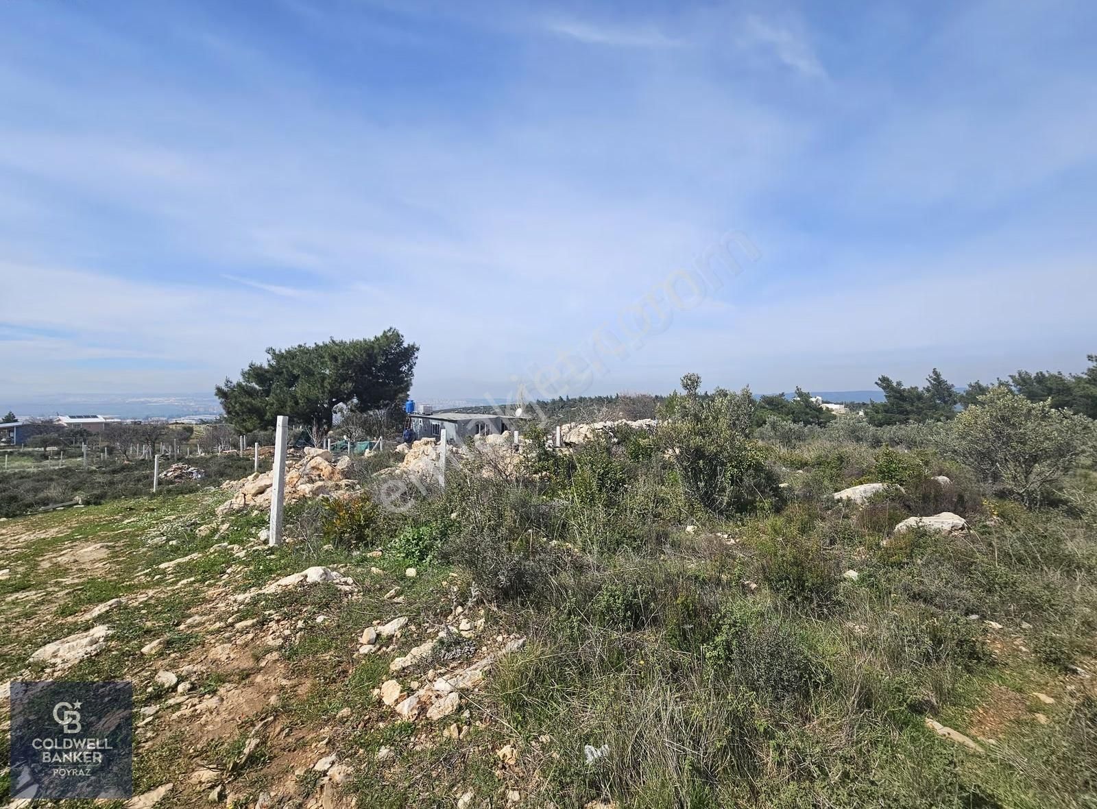 Torbalı Çapakta Satılık Tek Tapu 24.480 M2 Zeytinlik - Görsel 29