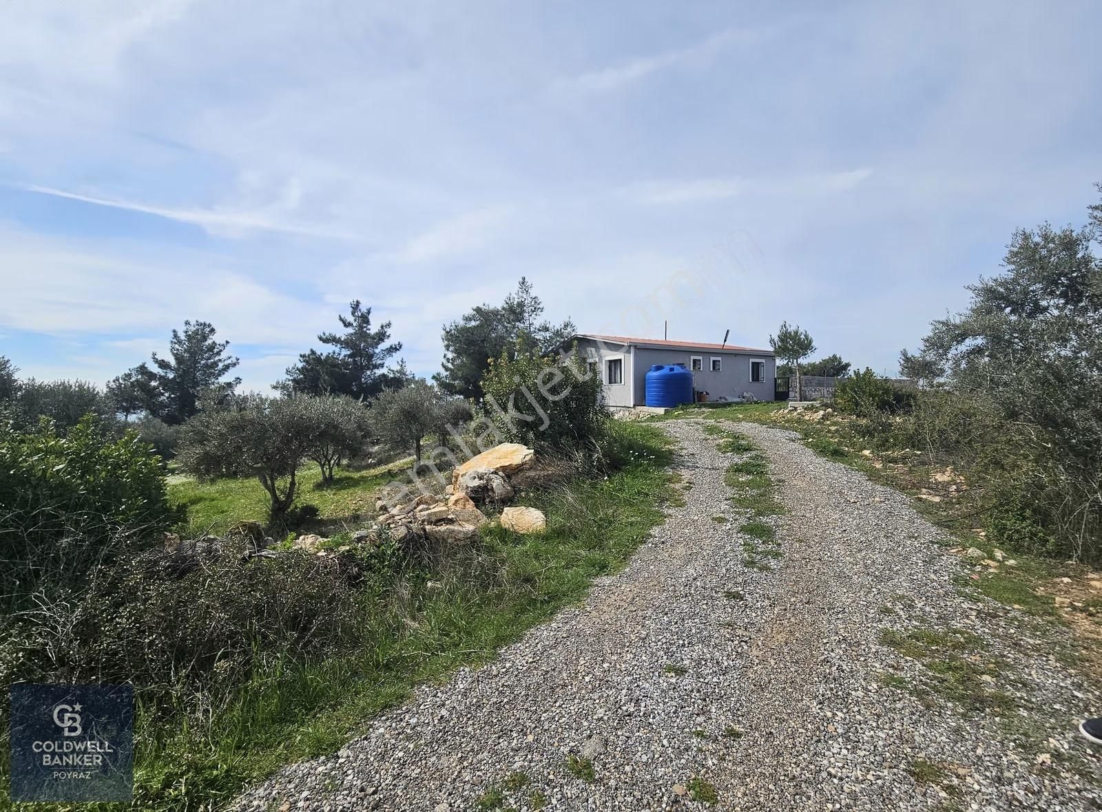 Torbalı Çapakta Satılık Tek Tapu 24.480 M2 Zeytinlik - Görsel 31
