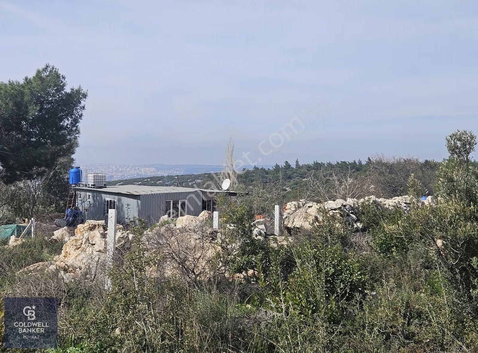 Torbalı Çapakta Satılık Tek Tapu 24.480 M2 Zeytinlik - Görsel 13