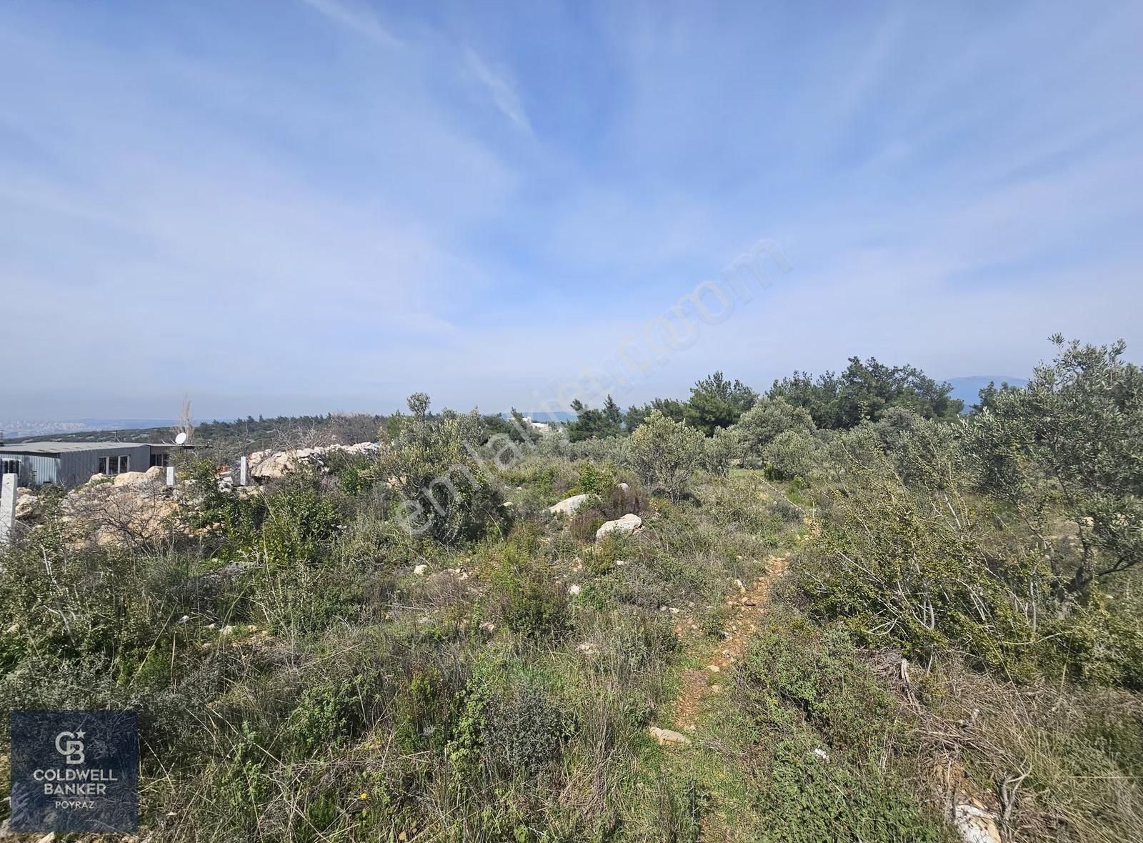 Torbalı Çapakta Satılık Tek Tapu 24.480 M2 Zeytinlik - Görsel 10