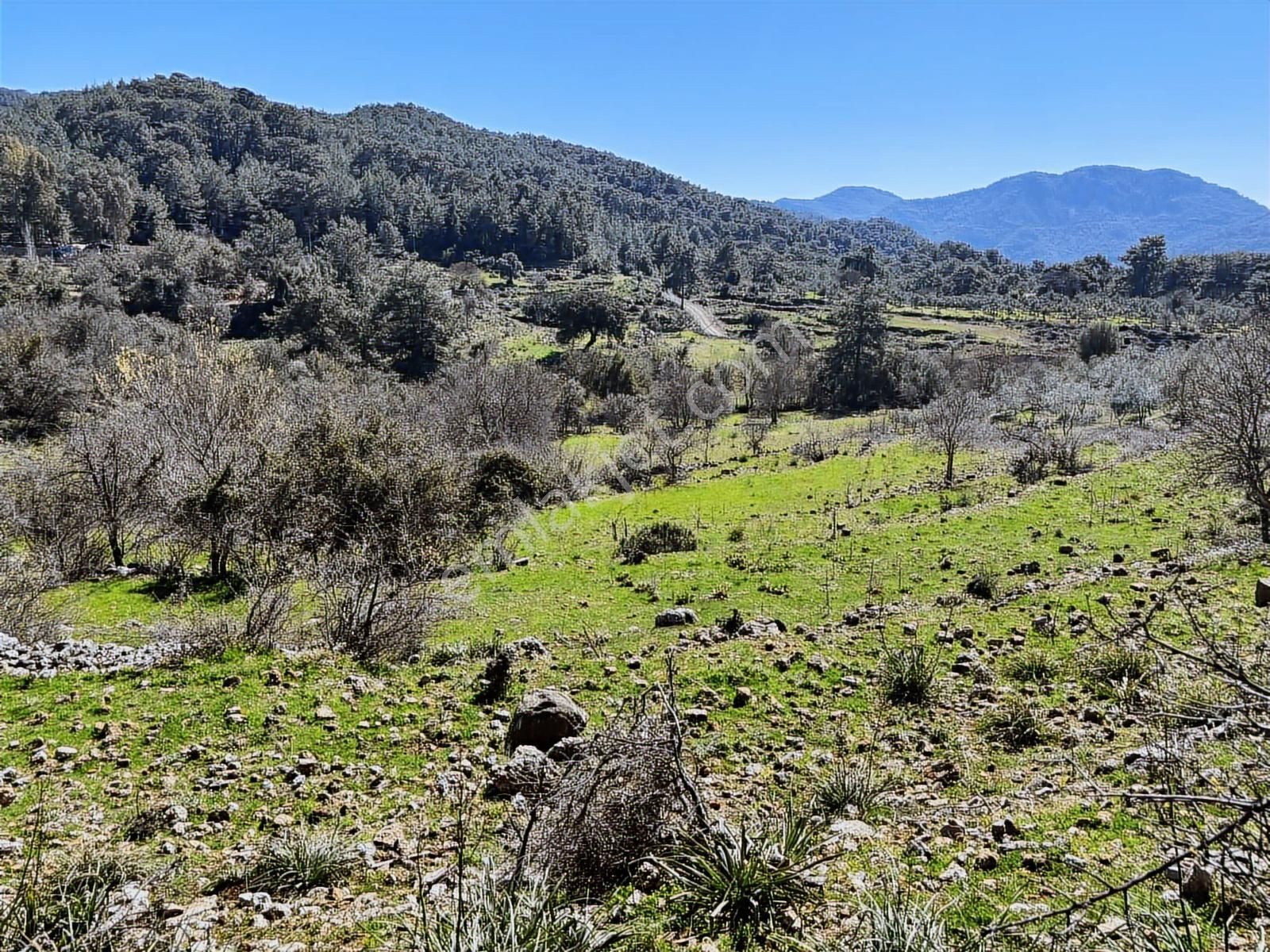 Nysa Emlak'tan Satılık 4.475 M2 Satılık Hisseli Arazi