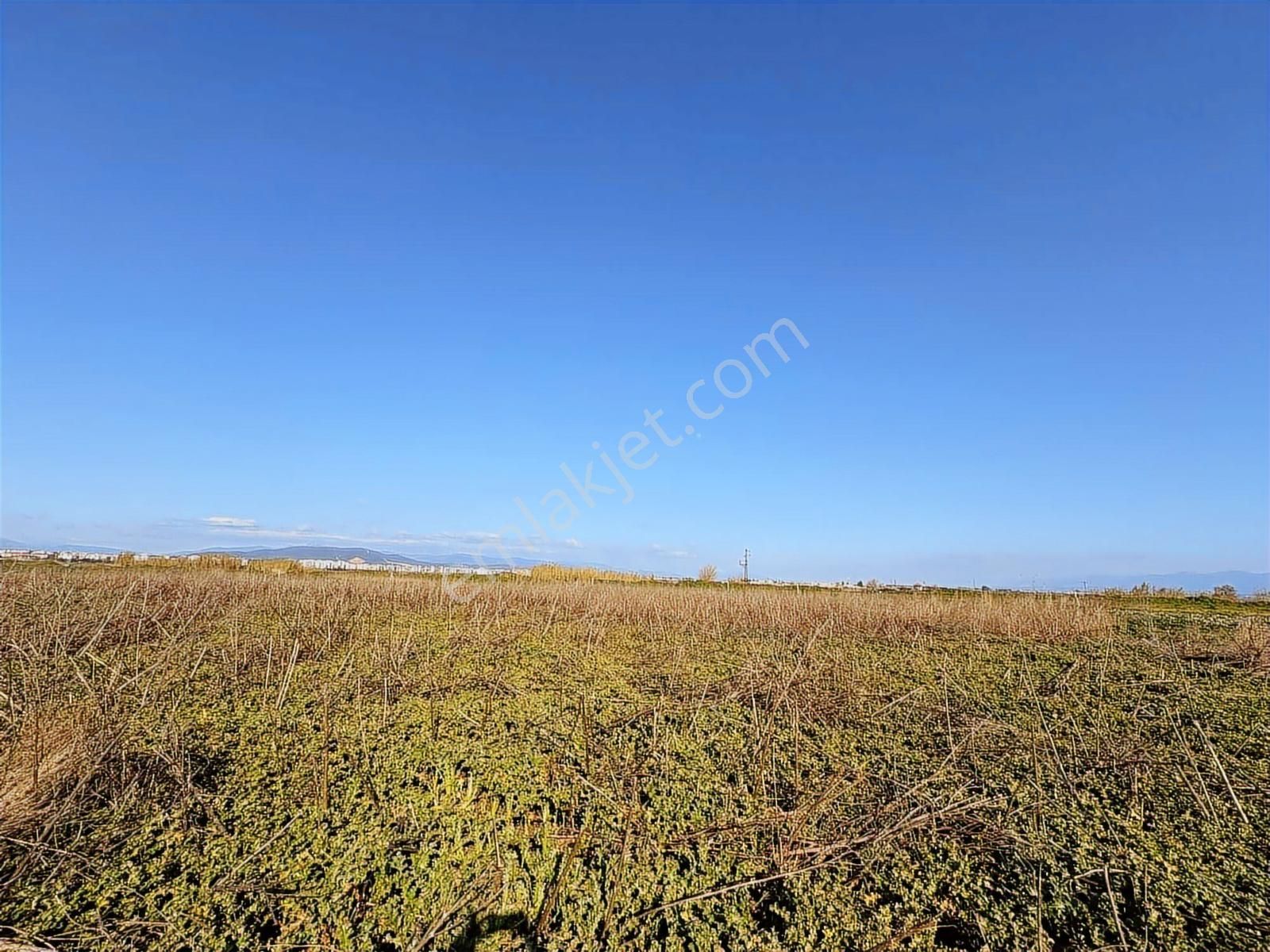 Torbalı Özbey Mah Tek Tapulu 10,955m2 Yatırımlık Tarla - Görsel 19