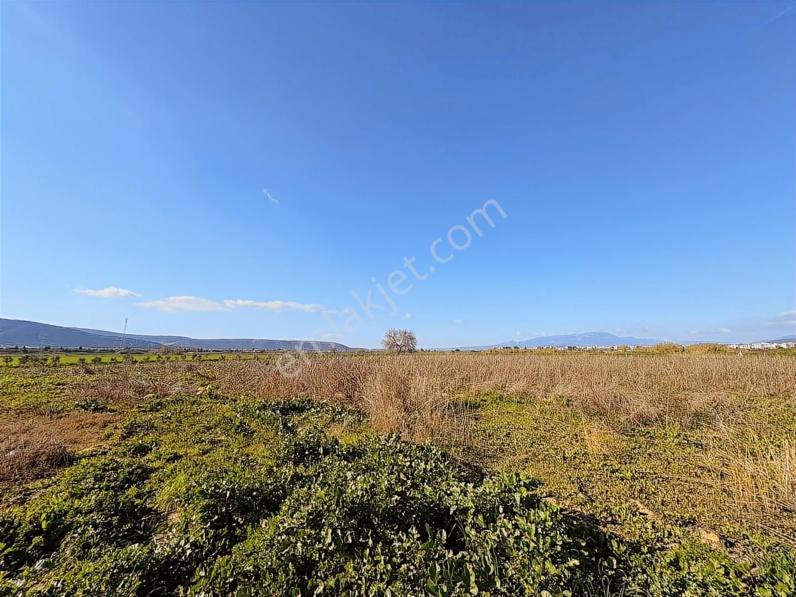 Torbalı Özbey Mah Tek Tapulu 10,955m2 Yatırımlık Tarla - Görsel 22