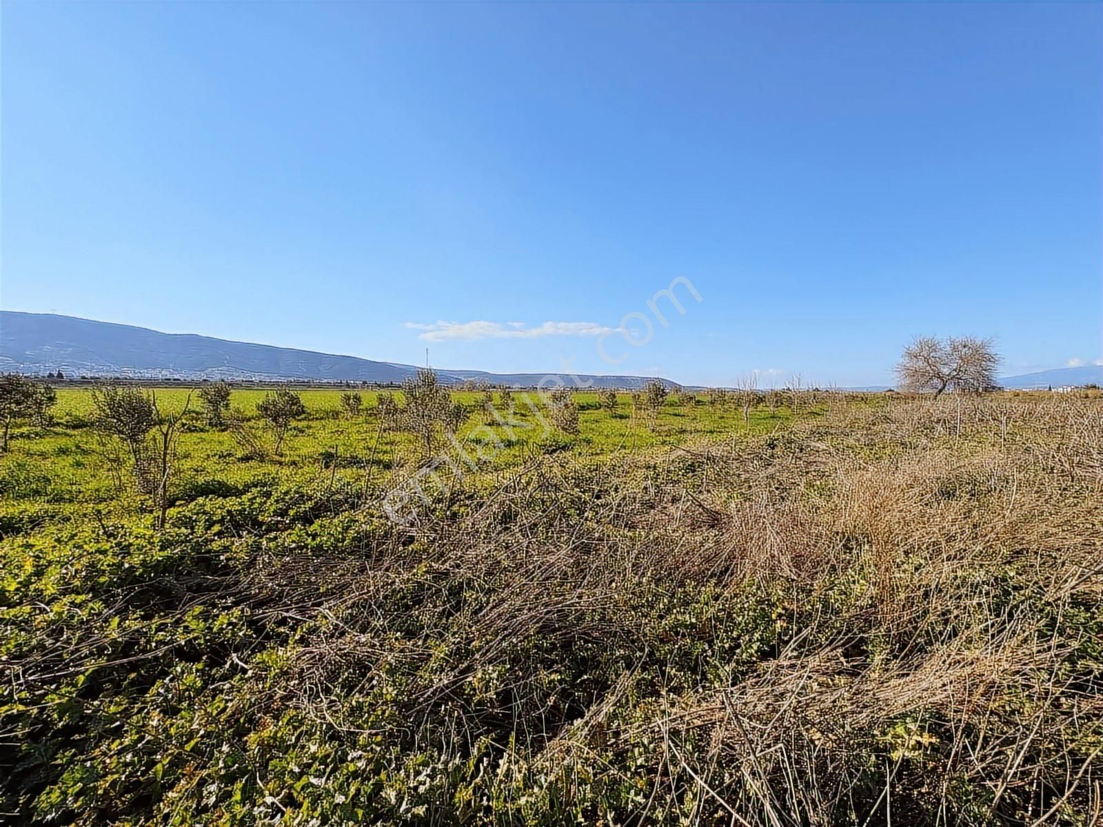 Torbalı Özbey Mah Tek Tapulu 10,955m2 Yatırımlık Tarla - Görsel 12