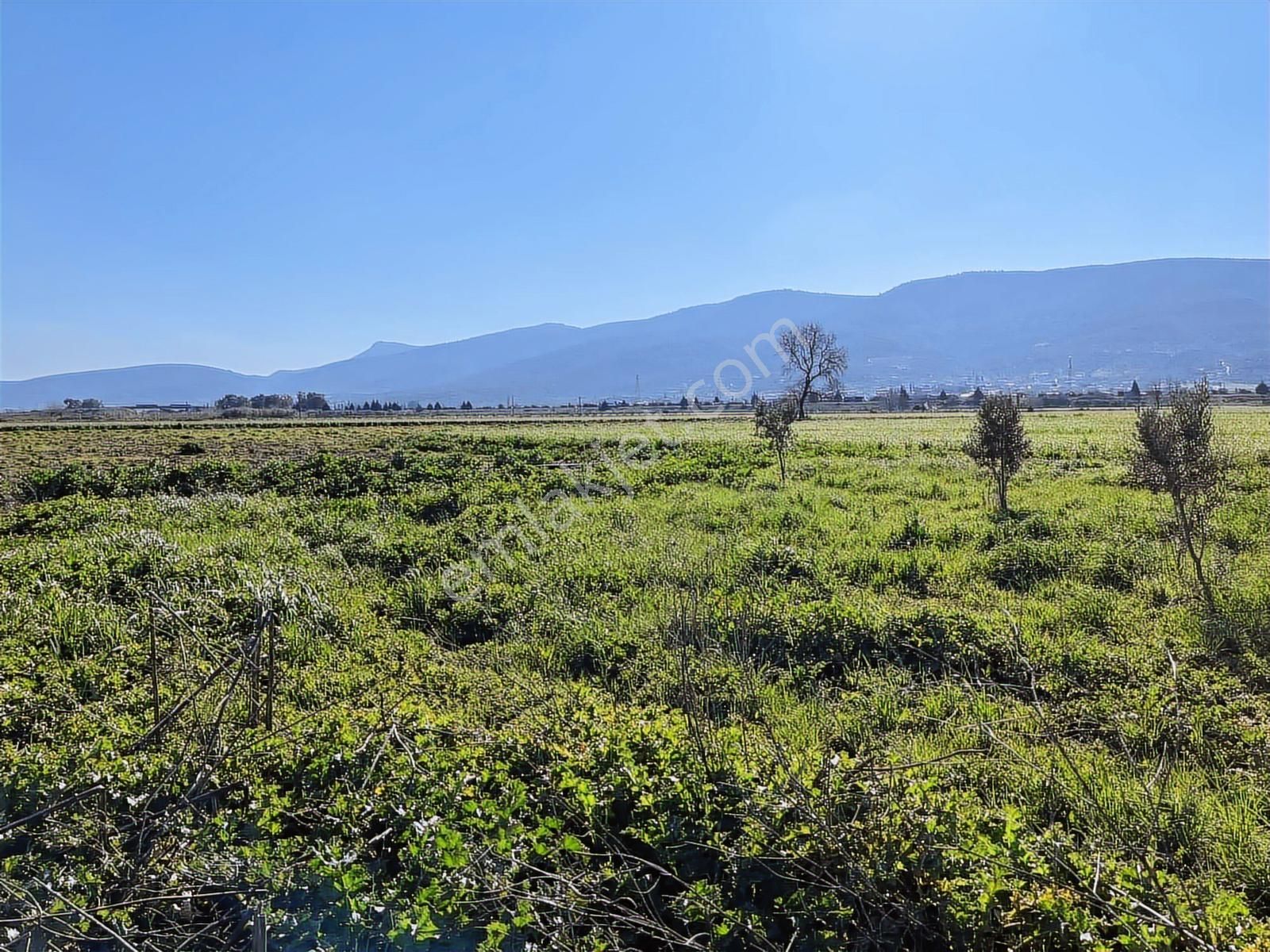 Torbalı Özbey Mah Tek Tapulu 10,955m2 Yatırımlık Tarla - Görsel 5