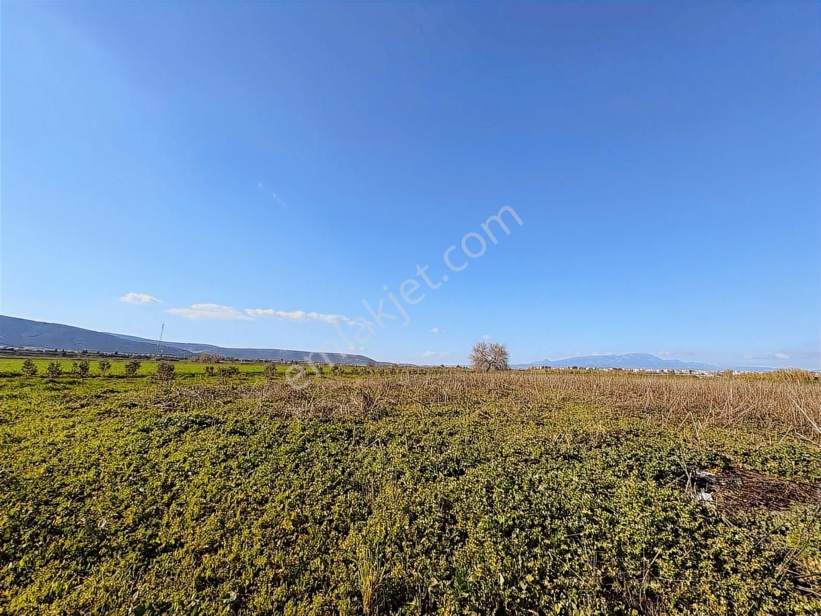 Torbalı Özbey Mah Tek Tapulu 10,955m2 Yatırımlık Tarla - Görsel 21