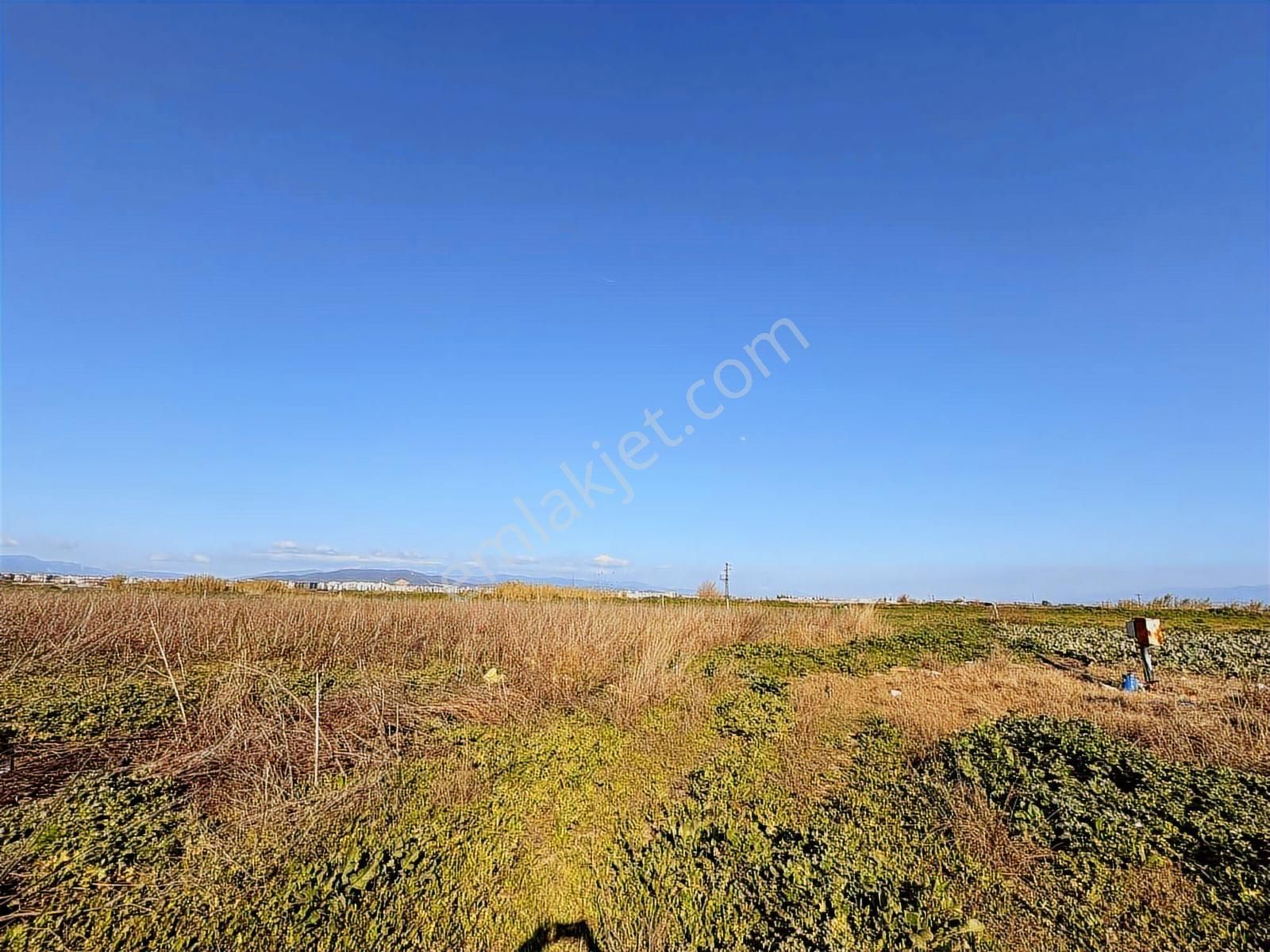 Torbalı Özbey Mah Tek Tapulu 10,955m2 Yatırımlık Tarla - Görsel 28